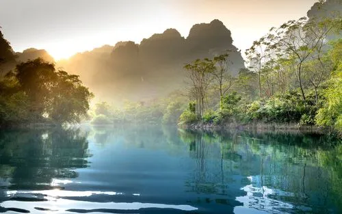 自动化智能高端